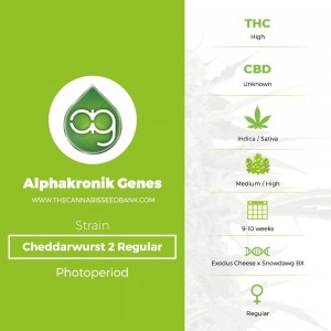 Cheddarwurst 2 Regular (Alphakronik Genes) - The Cannabis Seedbank