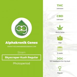 Skyscraper Kush Regular (Alphakronik Genes) - The Cannabis Seedbank