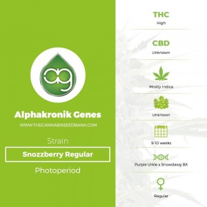Snozzberry Regular (Alphakronik Genes) - The Cannabis Seedbank