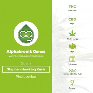 Stephen Hawking Kush Regular (Alphakronik Genes) - The Cannabis Seedbank