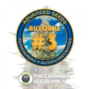 Collection #3 AUTO (Advanced Seeds) - The Cannabis Seedbank