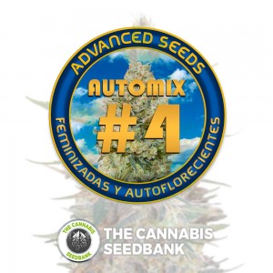 Collection #4 AUTO (Advanced Seeds) - The Cannabis Seedbank