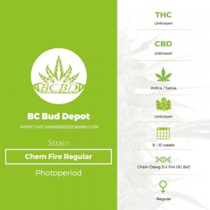 Chem Fire Regular (BC Bud Depot) - The Cannabis Seedbank