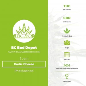 Garlic Cheese (BC Bud Depot) - The Cannabis Seedbank