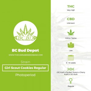 Girl Scout Cookies Regular (BC Bud Depot) - The Cannabis Seedbank