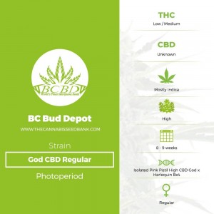 God CBD Regular (BC Bud Depot) - The Cannabis Seedbank