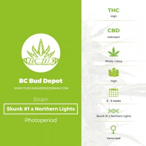 Skunk #1 x Northern Lights (BC Bud Depot) - The Cannabis Seedbank