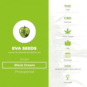 Black Dream (Eva Seeds) - The Cannabis Seedbank