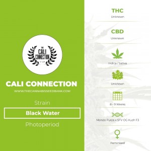Black Water (Cali Connection) - The Cannabis Seedbank
