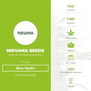 Blue Mystic by Nirvana Seeds is an indica dominant strain created by crossing Afghan x Flo with the legendary, award-winning Blueberry, resulting in a beautiful looking plant, which is easy to cultivate, making it an ideal choice for novice growers.