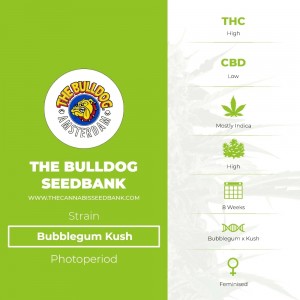 Bubblegum Kush (The Bulldog Seedbank) - The Cannabis Seedbank