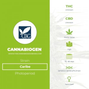 Caribe (Cannabiogen) - The Cannabis Seedbank