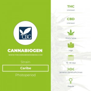 Caribe Regular (Cannabiogen) - The Cannabis Seedbank