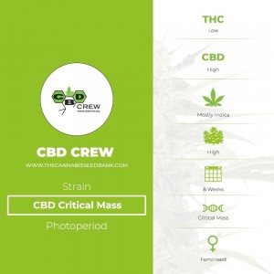 Critical Mass CBD Feminised (CBD Crew) - The Cannabis Seedbank