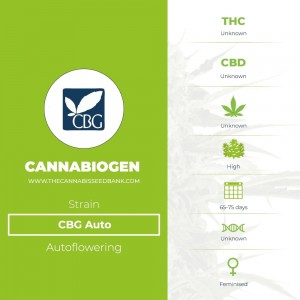 CBG Auto (Cannabiogen) - The Cannabis Seedbank