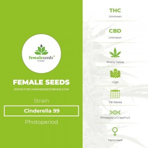 Cinderella 99 (Female Seeds) - The Cannabis Seedbank