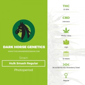 Hulk Smash Regular (Dark Horse Genetics) - The Cannabis Seedbank