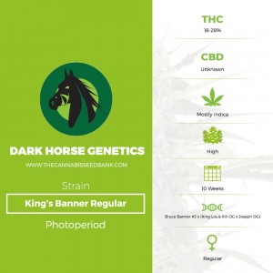 King's Banner Regular (Dark Horse Genetics) - The Cannabis Seedbank