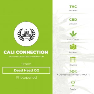 Dead Head OG Regular (Cali Connection) - The Cannabis Seedbank