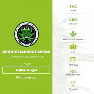 Fallen Angel (Devils Harvest Seeds) - The Cannabis Seedbank