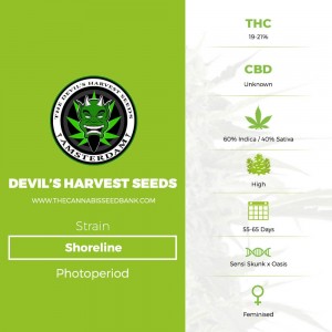 Shoreline (Devils Harvest Seeds) - The Cannabis Seedbank