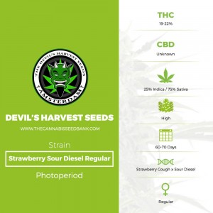 Strawberry Sour Diesel Regular (Devils Harvest Seeds) - The Cannabis Seedbank