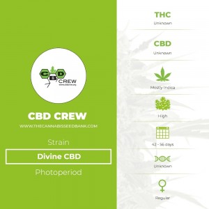 Divine CBD Regular (CBD Crew) - The Cannabis Seedbank
