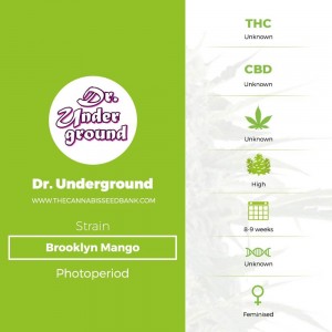 Brooklyn Mango (Dr Underground) - The Cannabis Seedbank