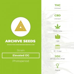 Elevated OG Regular (Archive Seeds) - The Cannabis Seedbank