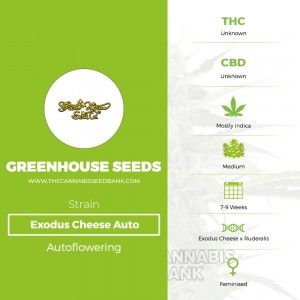 Exodus Cheese Auto (Greenhouse Seed Co.) - The Cannabis Seedbank