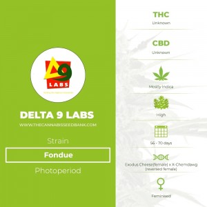 Fondue (Delta 9 Labs) - The Cannabis Seedbank