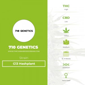 G13 Hashplant (710 Genetics) - The Cannabis Seedbank