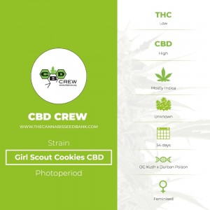 Girl Scout Cookies CBD (CBD Crew) - The Cannabis Seedbank