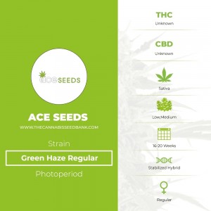 Green Haze Regular (Ace Seeds) - The Cannabis Seedbank