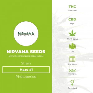 Haze #1 (Nirvana Seeds) - The Cannabis Seedbank