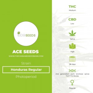 Honduras Regular (Ace Seeds) - The Cannabis Seedbank