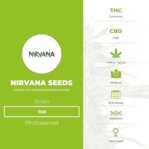Ice (Nirvana Seeds) - The Cannabis Seedbank