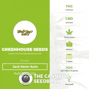 Jack Herer Auto (Greenhouse Seed Co.) - The Cannabis Seedbank