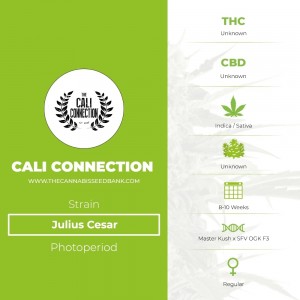 Julius Cesar Regular (Cali Connection) - The Cannabis Seedbank