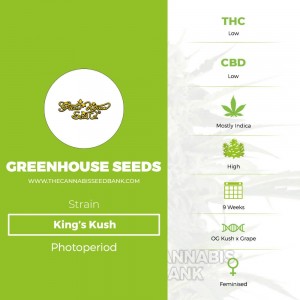 King's Kush (Greenhouse Seed Co.) - The Cannabis Seedbank