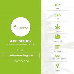 Lebanese Regular (Ace Seeds) - The Cannabis Seedbank