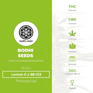 Lemon G x 88 G13 Regular (Bodhi Seeds) - The Cannabis Seedbank