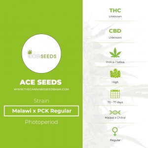 Malawi x PCK Regular (Ace Seeds) - The Cannabis Seedbank