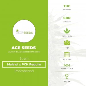 Malawi x PCK Regular (Ace Seeds) - The Cannabis Seedbank