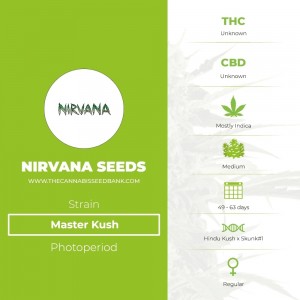 Master Kush Regular (Nirvana Seeds) - The Cannabis Seedbank