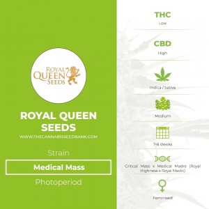 Medical Mass (Royal Queen Seeds) - The Cannabis Seedbank
