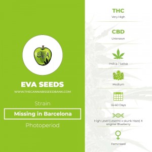 Missing in Barcelona (M.I.B.) (Eva Seeds) - The Cannabis Seedbank