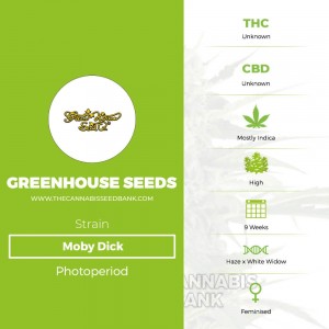 Moby Dick (Greenhouse Seed Co.) - The Cannabis Seedbank
