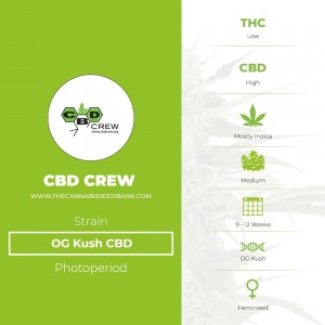 OG Kush CBD (CBD Crew) - The Cannabis Seedbank