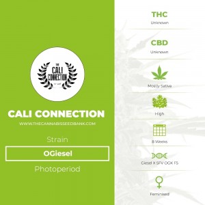 OGiesel (Cali Connection) - The Cannabis Seedbank